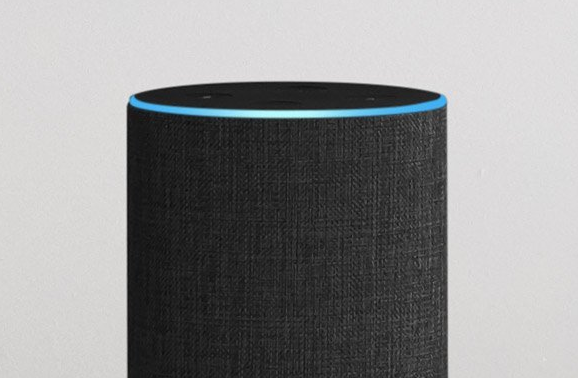 Amazon Echo, from amazon.com