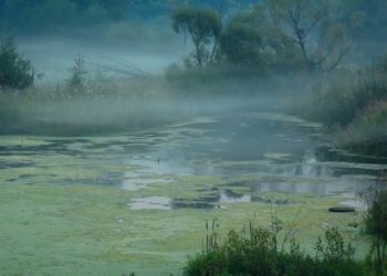 How to keep a data lake from becoming a swamp