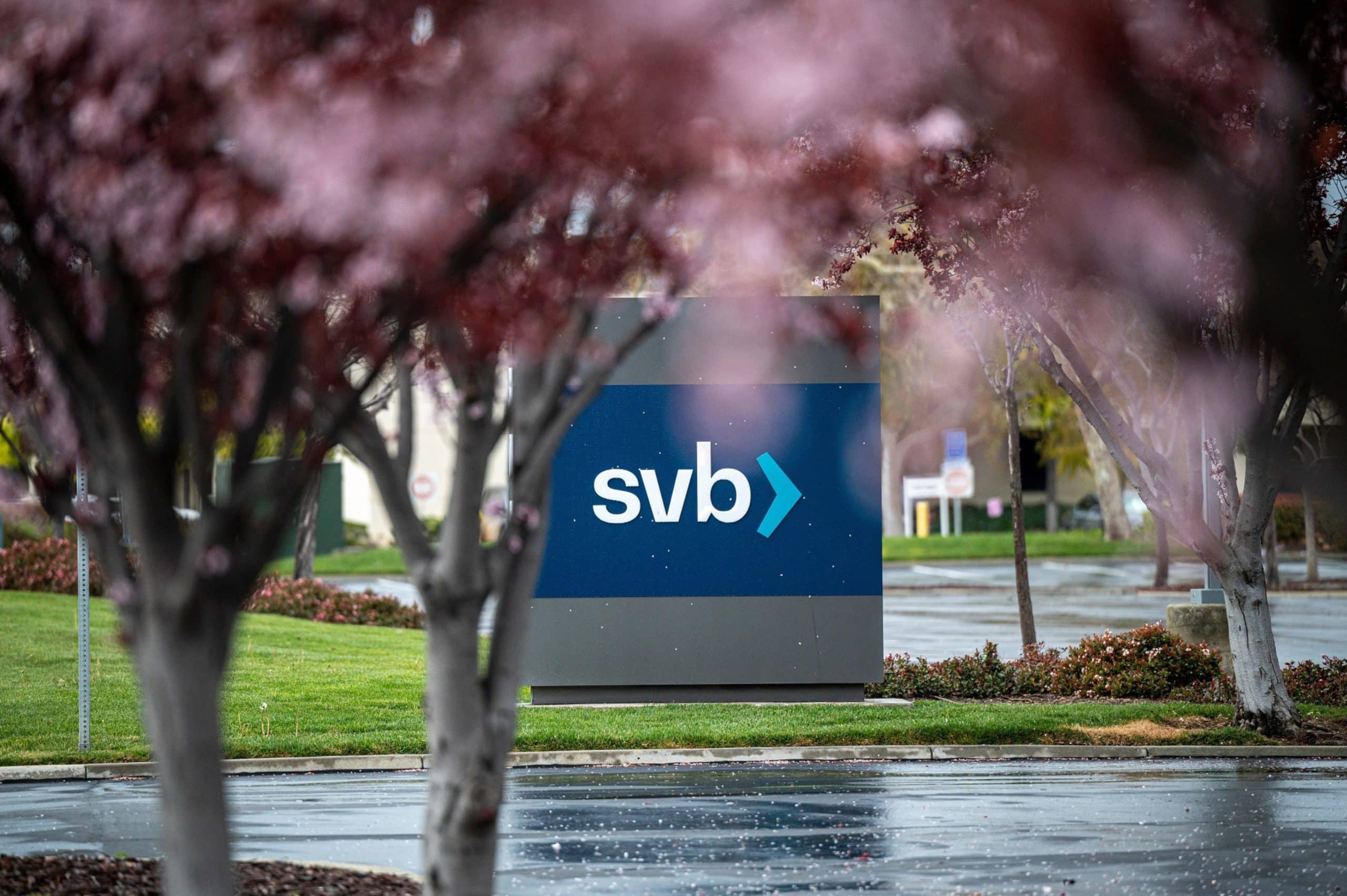 SVB races to stop financial institution run as funds advise pulling money